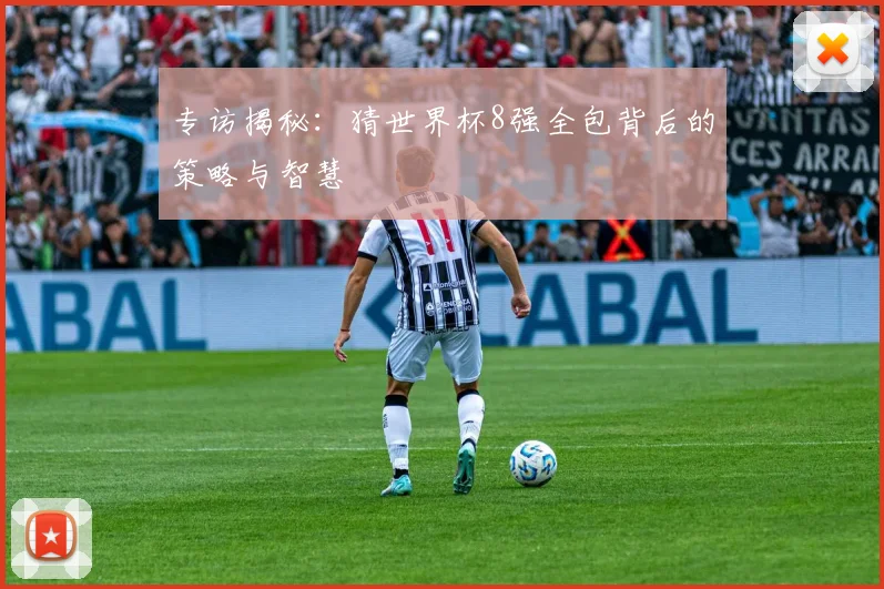 专访揭秘：猜世界杯8强全包背后的策略与智慧