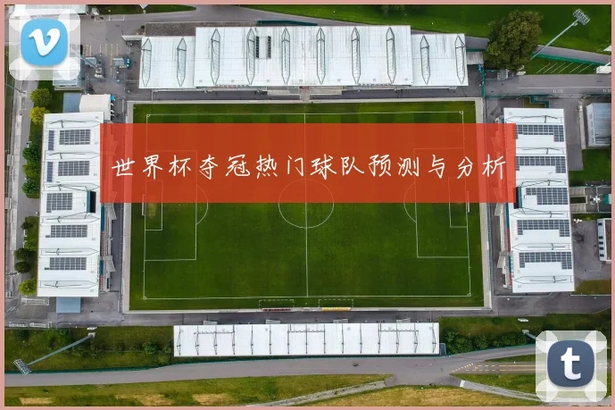 世界杯夺冠热门球队预测与分析