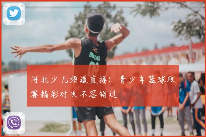河北少儿频道直播:青少年篮球联赛精彩对决不容错过