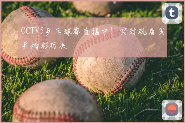 CCTV5乒乓球赛直播中！实时观看国乒精彩对决