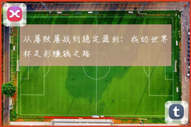 从屡败屡战到稳定盈利：我的世界杯足彩赚钱之路