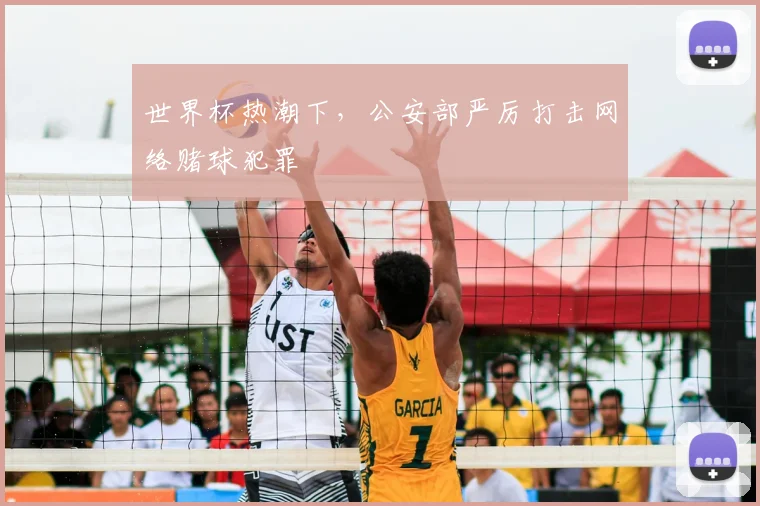 世界杯热潮下，公安部严厉打击网络赌球犯罪