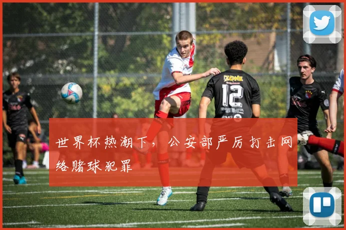 世界杯热潮下，公安部严厉打击网络赌球犯罪