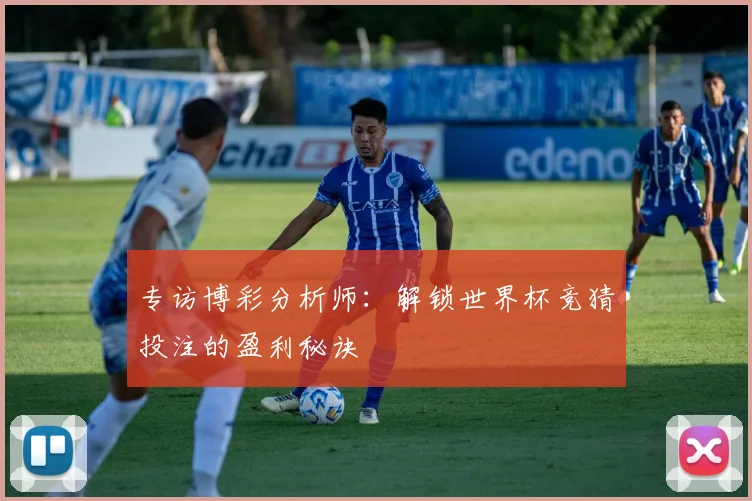 专访博彩分析师：解锁世界杯竞猜投注的盈利秘诀
