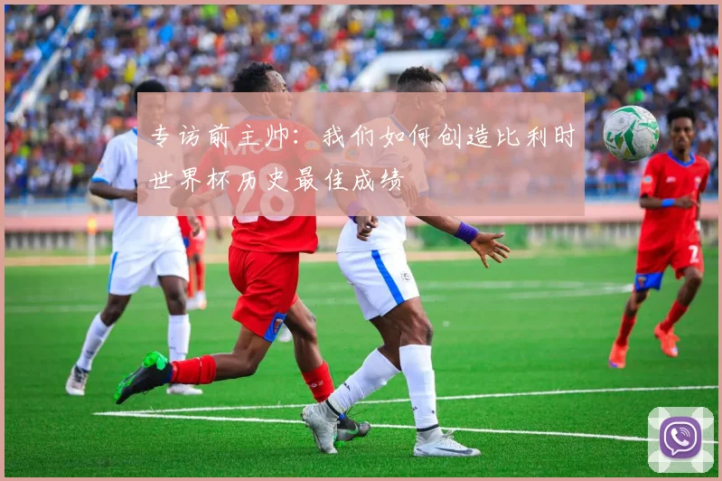 专访前主帅：我们如何创造比利时世界杯历史最佳成绩