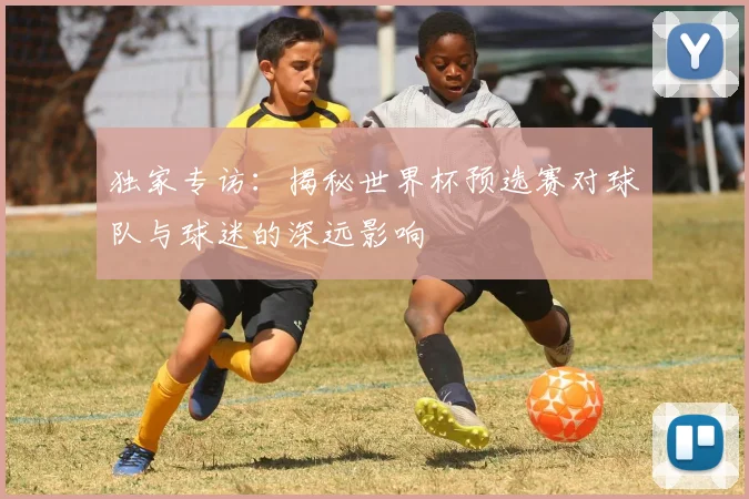 独家专访：揭秘世界杯预选赛对球队与球迷的深远影响