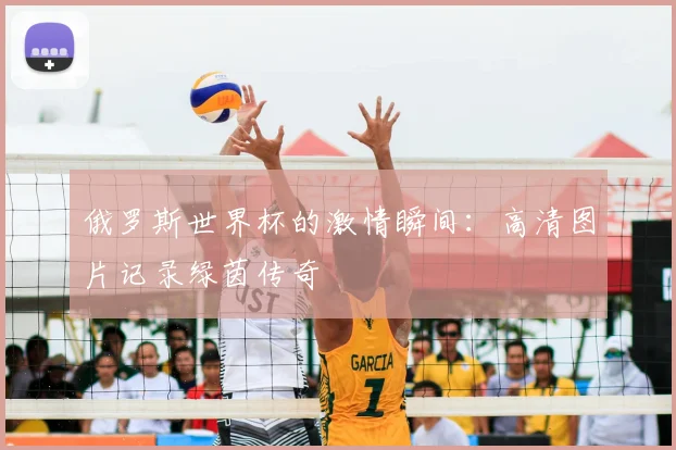 俄罗斯世界杯的激情瞬间：高清图片记录绿茵传奇
