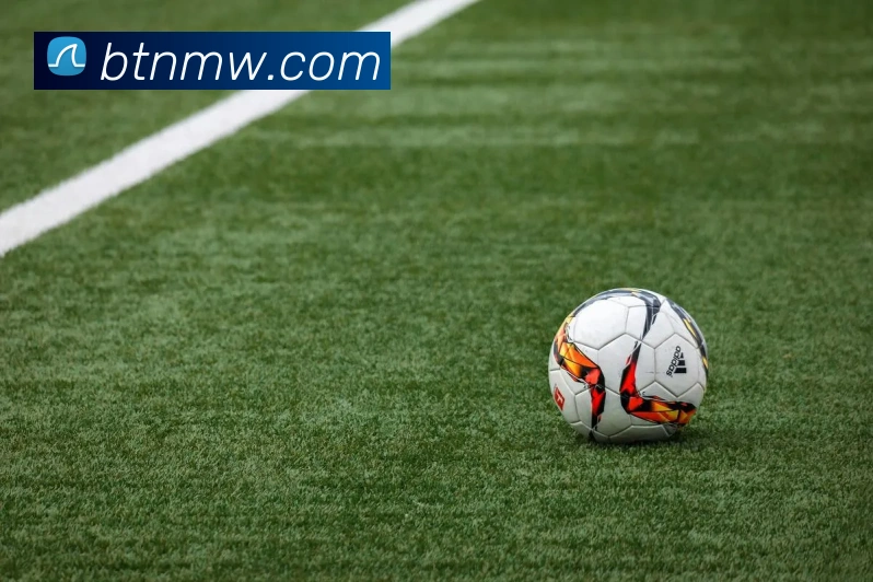 多媒体互动体验